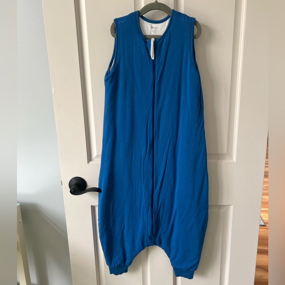 Kyte BABY Blue Sleep bag walker